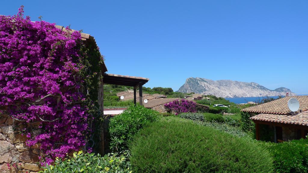 Casa Molara Vila San Teodoro  Quarto foto